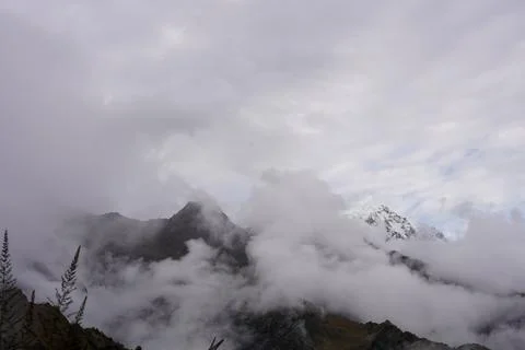 Cloud Forest, Inka Trail, Cusco, Peru Stock Photos