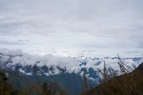 Cloud Forest, Inka Trail, Cusco, Peru Stock Photos