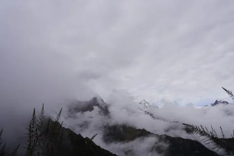 Cloud Forest, Inka Trail, Cusco, Peru Stock Photos