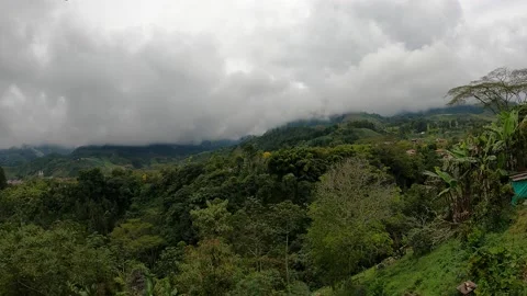 Cloud Forest in Jardin, Colombia Stock-Footage 237220728