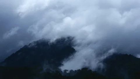 Cloud forest medium Stock Footage 126551188
