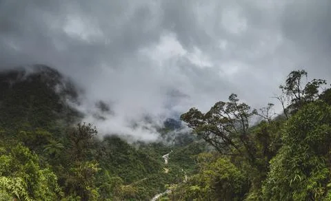 Cloud Forest in Peru, panoramic view. Stock Photos