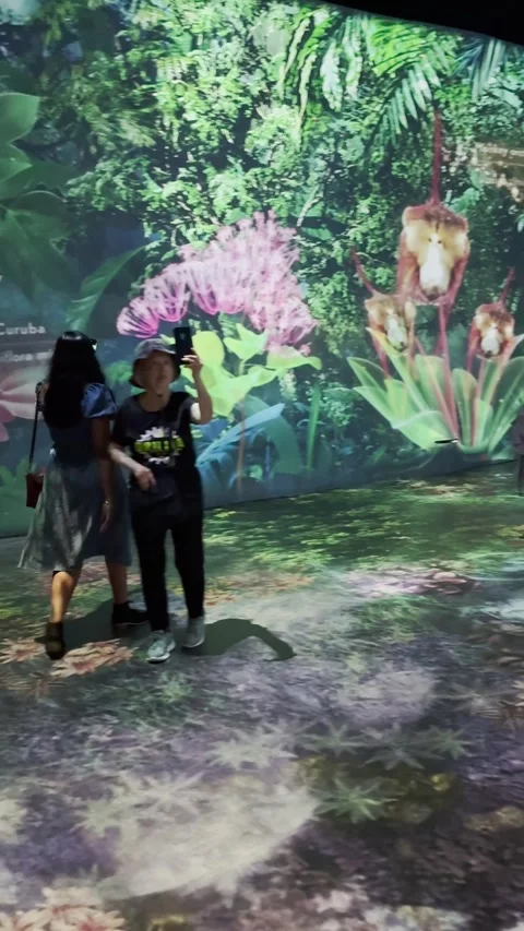 Cloud forest, Singapore with digital flower display Stock Footage 305006416