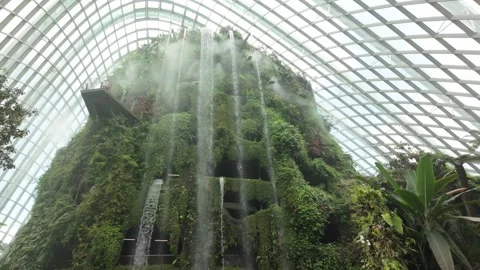 Cloud forest in Singapore Stock-Footage 304600577