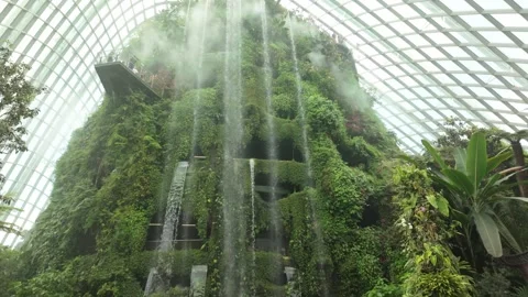 Cloud Forest, Singapore Stock Footage 304600829