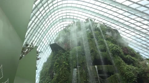 Cloud Forest in Singapore Stock Footage 304601051