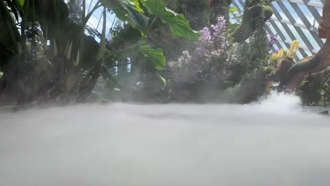 Cloud forest, Singapore Video stock 304602064