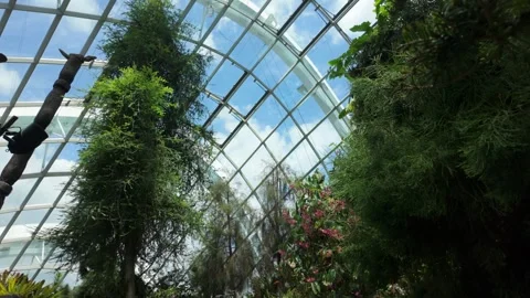 Cloud forest in Singapore Stock Footage 304602528