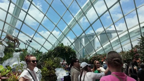 Cloud Forest, Singapore Stock-Footage 304602973