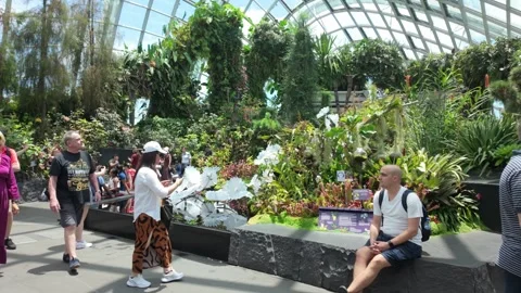 Cloud forest, Singapore Stock Footage 304603428