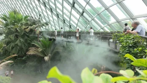 Cloud forest, Singapore Stock Footage 304603878