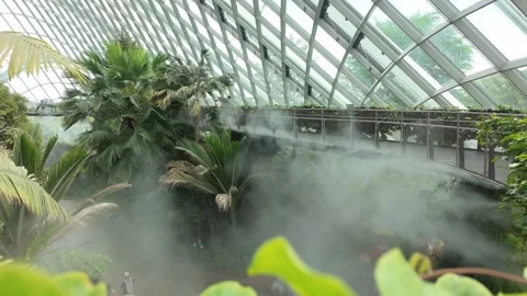 Cloud forest, Singapore Stock Footage 304604196