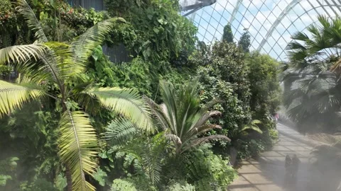 Cloud Forest, Singapore Video stock 304605493
