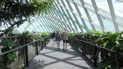 Cloud forest in Singapore Stock Footage 304606050