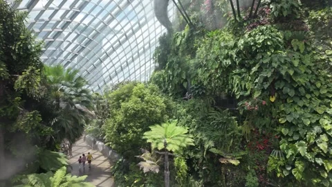 Cloud Forest, Singapore Stock Footage 304607118