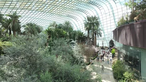 Cloud forest, Singapore Stock Footage 304608505