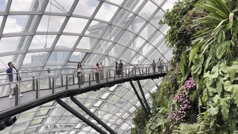 Cloud forest, Singapore Stock Footage 304616424
