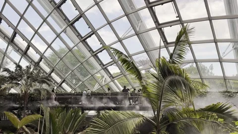 Cloud forest in Singapore Video stock 304616645