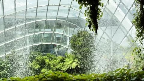 Cloud Forest, Singapore Stock Footage 304619908