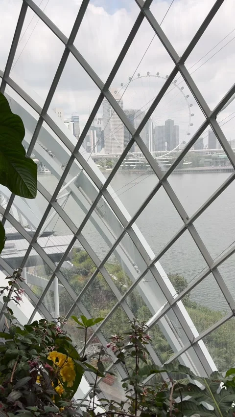 Cloud Forest, Singapore Stock Footage 305006216