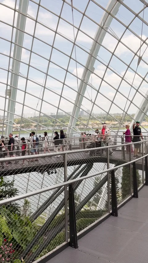 Cloud Forest, Singapore Stock Footage 305006248