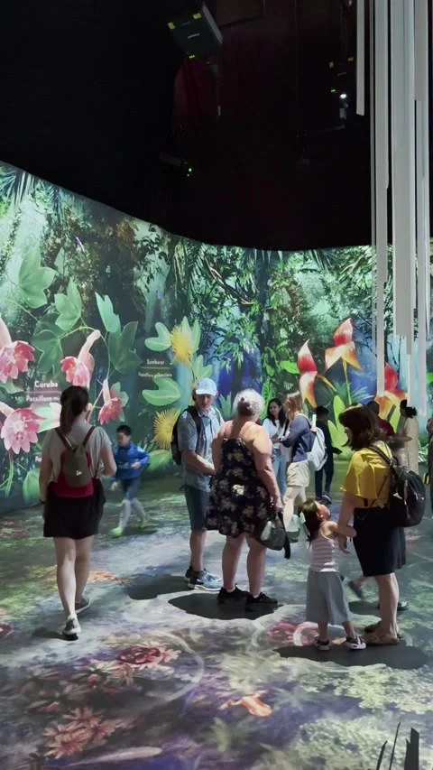 Cloud forest, Singapore Video stock 305006379