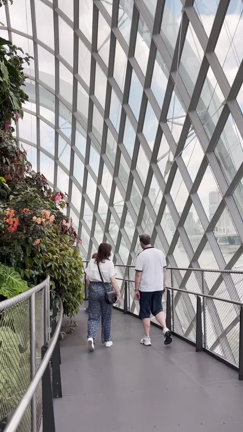 Cloud forest, Singapore Stock Footage 305006410