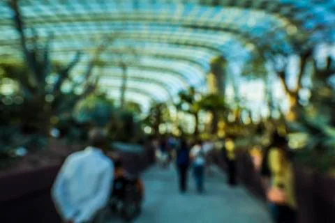 Cloud Forest in Singapore Stock Photos