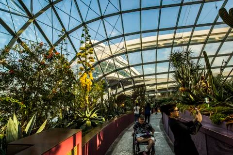 Cloud Forest in Singapore Stock Photos