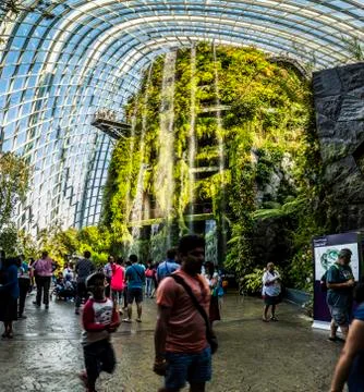 Cloud Forest in Singapore Stock Photos
