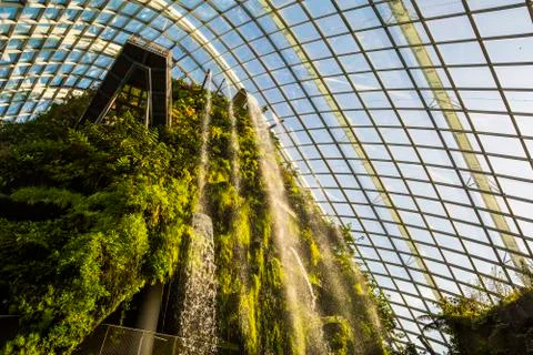 Cloud Forest in Singapore Stock Photos