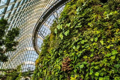 Cloud Forest in Singapore Stock Photos