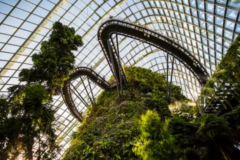 Cloud Forest in Singapore Stock Photos
