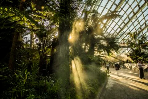 Cloud Forest in Singapore Stock Photos