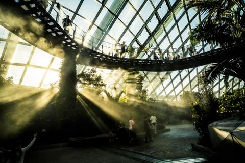 Cloud Forest in Singapore Stock Photos