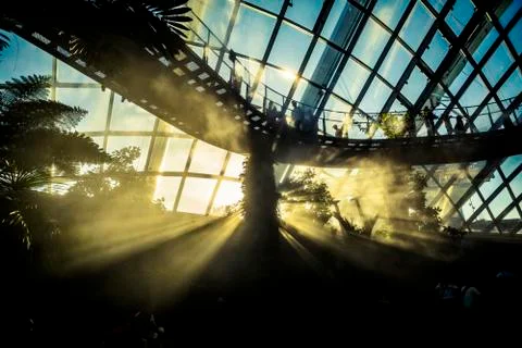 Cloud Forest in Singapore Stock Photos