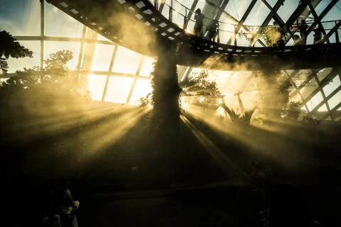 Cloud Forest in Singapore Stock Photos