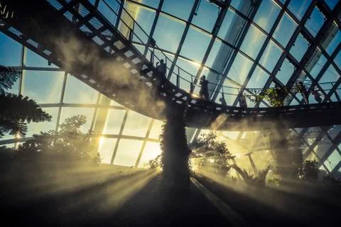 Cloud Forest in Singapore Stock Photos