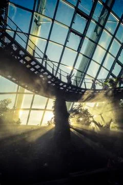 Cloud Forest in Singapore Stock Photos