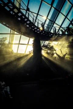 Cloud Forest in Singapore Stock Photos