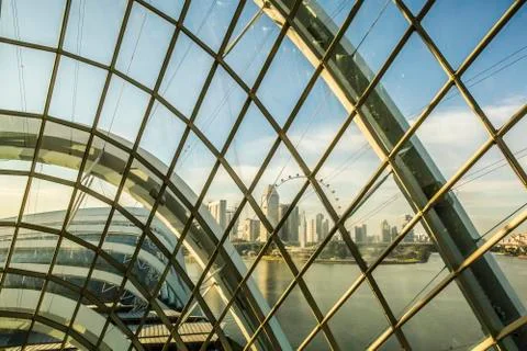 Cloud Forest in Singapore Stock Photos