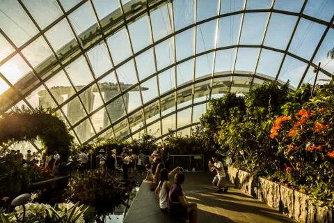 Cloud Forest in Singapore Stock Photos