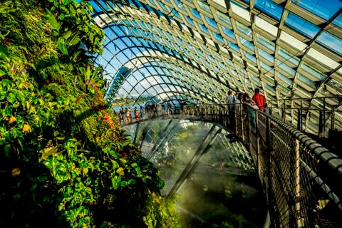 Cloud Forest in Singapore Stock Photos