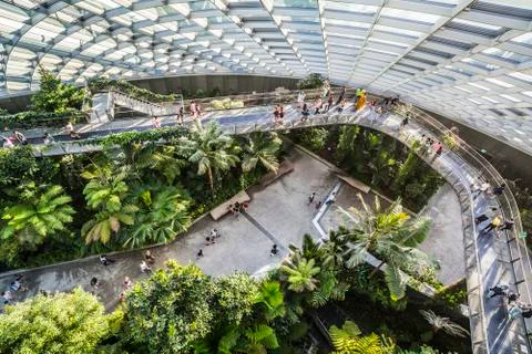 Cloud Forest in Singapore Stock Photos