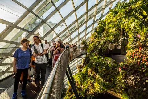 Cloud Forest in Singapore Stock Photos