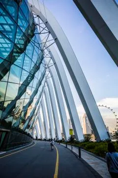 Cloud Forest in Singapore Stock Photos
