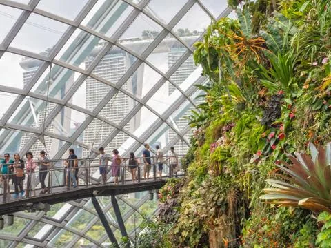 In the Cloud Forest - Singapore Stock Photos