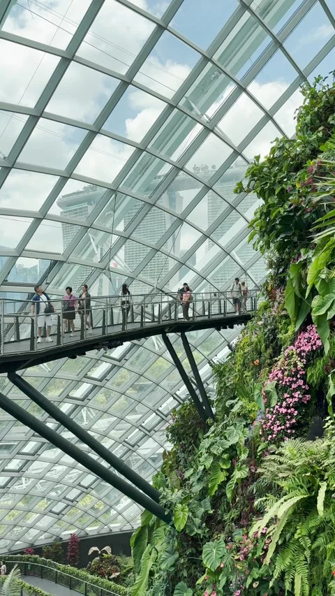 Cloud forest with skywalk, Singapore Stock Footage 305006402