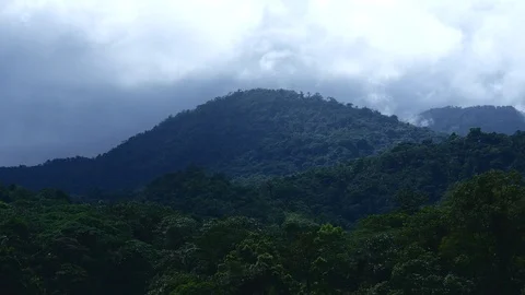 Cloud forest sunshine Stock Footage 126551205