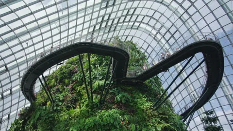 Cloud Forest Walkways Inside Glass Dome In Singapore Stock Footage 309279587